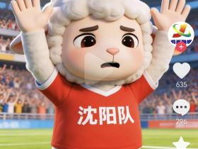 本来不想在辽宁队圈说沈阳队的事的