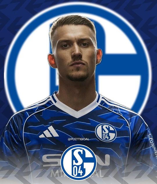 据天空体育的消息，柳比契奇转会沙尔克的交易已经完成