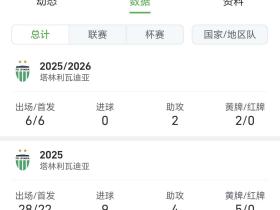你们新外援