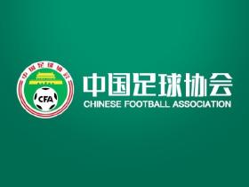 足协对辜建明的禁足处罚当中写错了案件的案号，查询后显示是一起交通肇事案