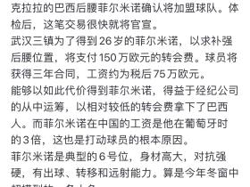 据说后腰外援150万欧转会费